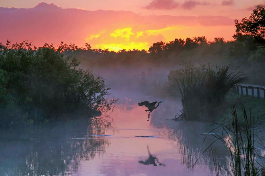 The Everglades: So Much More Than a National Park - Captain